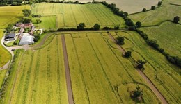 Benefits of flower strips in arable fields